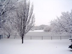 Snow 2003 - 01