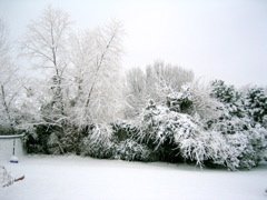 Snow 2003 - 02