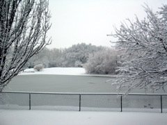Snow 2003 - 07